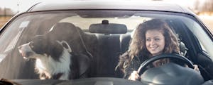 what-is-car-leasing Woman driving her car with her dog sitting in the front seat