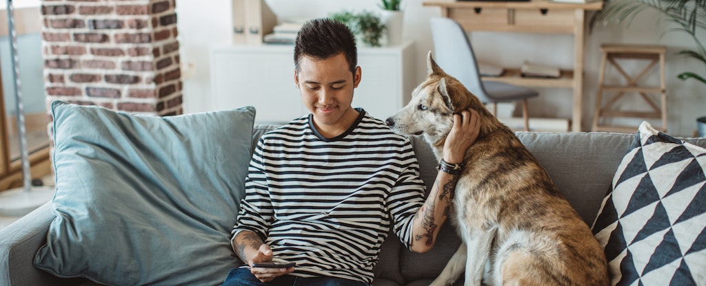Young man sitting on his couch with his dog, reading on his phone about how to lift a credit freeze